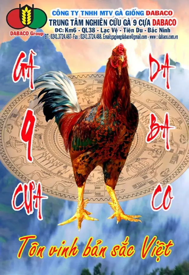 9 CỰA DABACO - TÔN VINH BẢN SẮC VIỆT