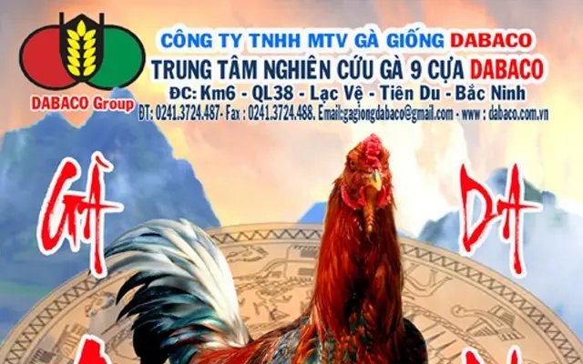 9 CỰA DABACO - TÔN VINH BẢN SẮC VIỆT