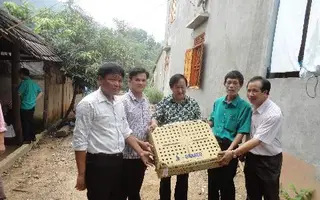 DABACO tặng xã Tân Trào 1.000 gà giống