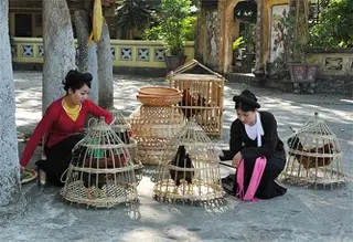 Tết Ất Mùi cúng gà gì?