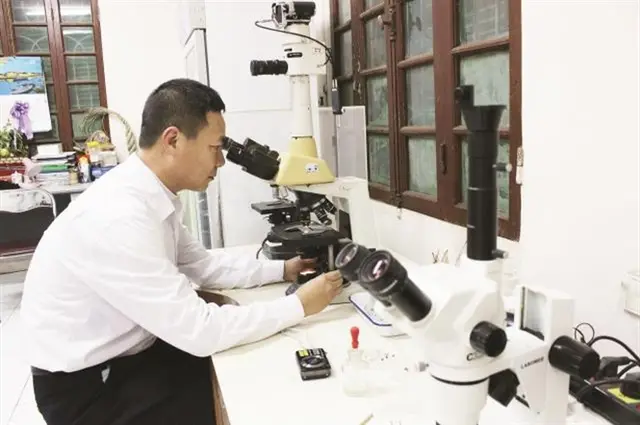 Kiểm soát nguyên liệu TĂCN nhập khẩu: Bên thông, bên tắc!