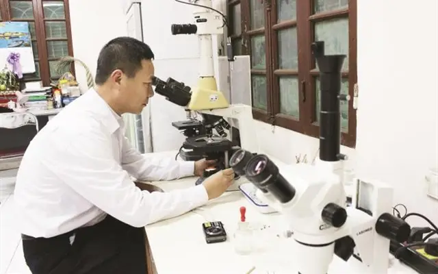 Kiểm soát nguyên liệu TĂCN nhập khẩu: Bên thông, bên tắc!