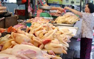 Chỉ cần 6 tiếng, thịt gà Thái sẽ tràn ngập chợ Việt!