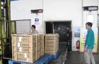 Bãi bỏ 31 loại phí kiểm dịch