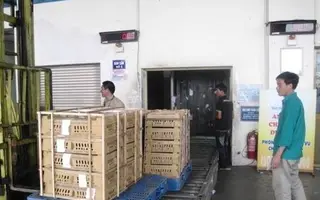 Bãi bỏ 31 loại phí kiểm dịch