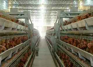 Việt Nam đương đầu những đối thủ ‘sừng sỏ