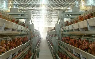 Việt Nam đương đầu những đối thủ ‘sừng sỏ
