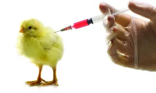Nâng cao hiệu quả sử dụng vaccine