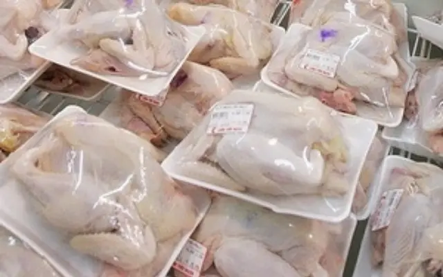 Nghịch lý giá gà công nghiệp