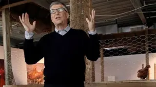 Tỷ phú công nghệ Bill Gates khuyên làm giàu bằng nghề... nuôi gà