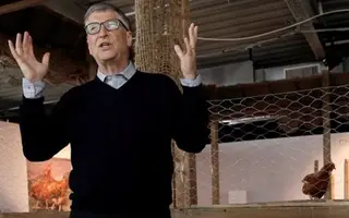 Tỷ phú công nghệ Bill Gates khuyên làm giàu bằng nghề... nuôi gà