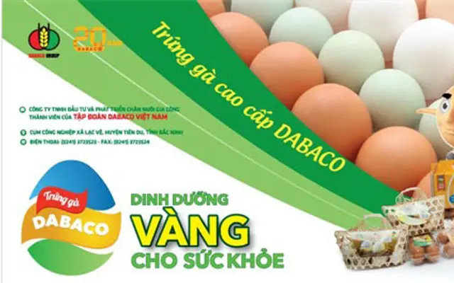 "Bộ tứ trứng gà siêu đẳng" của Dabaco