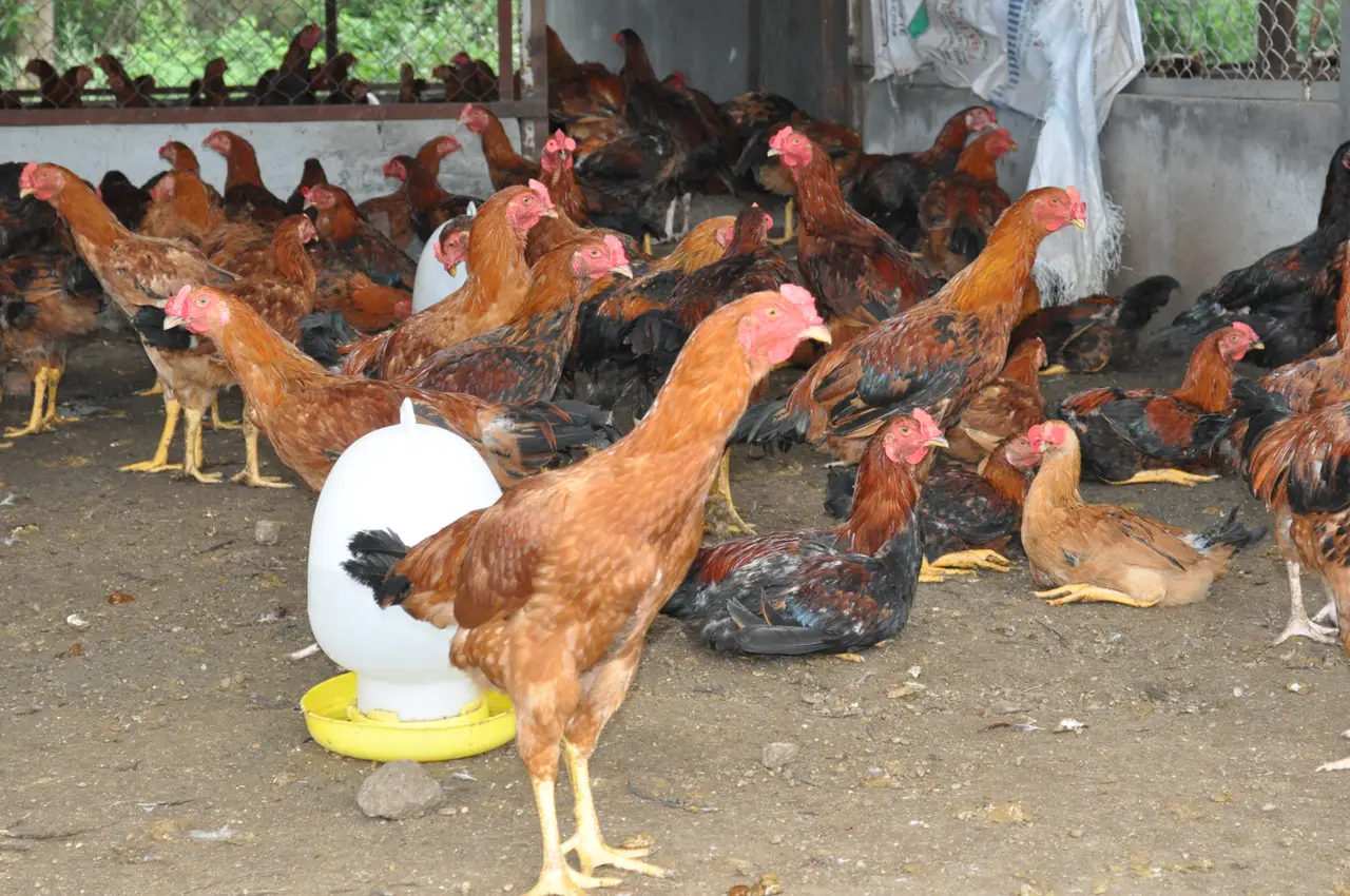 Đổi mới để tăng giá trị