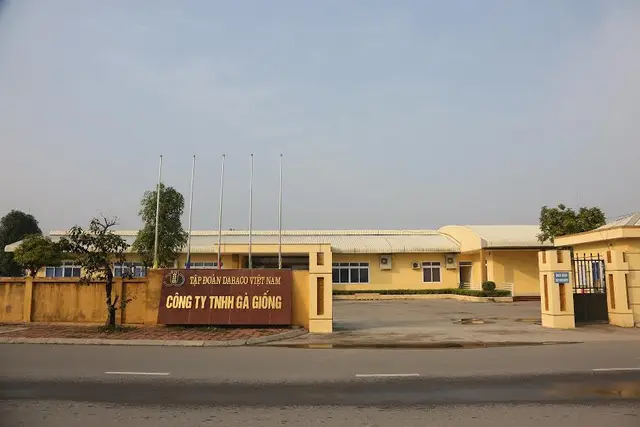 Công ty gà giống Dabaco