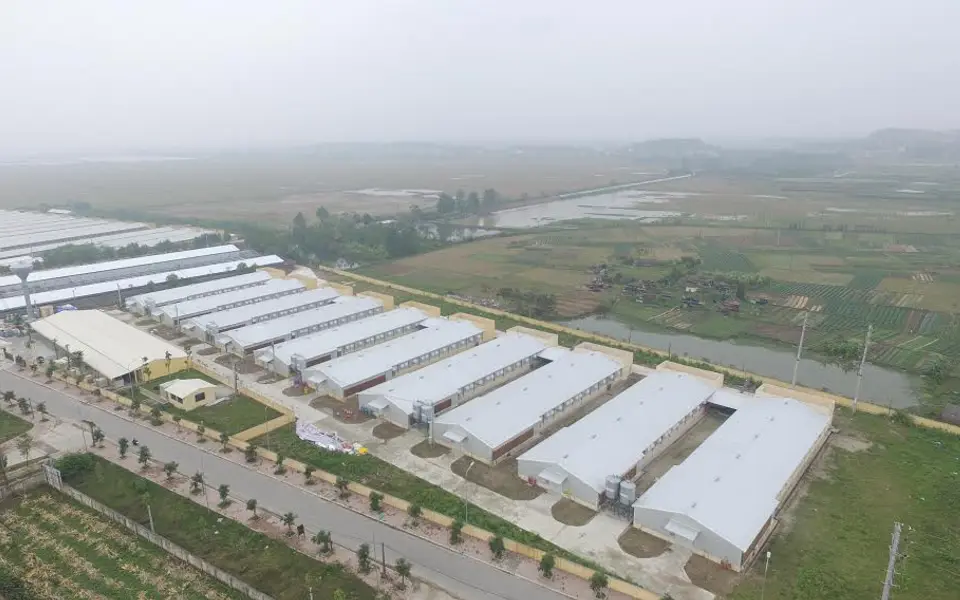 Khu nuôi dưỡng gà bố mẹ của Dabaco Group