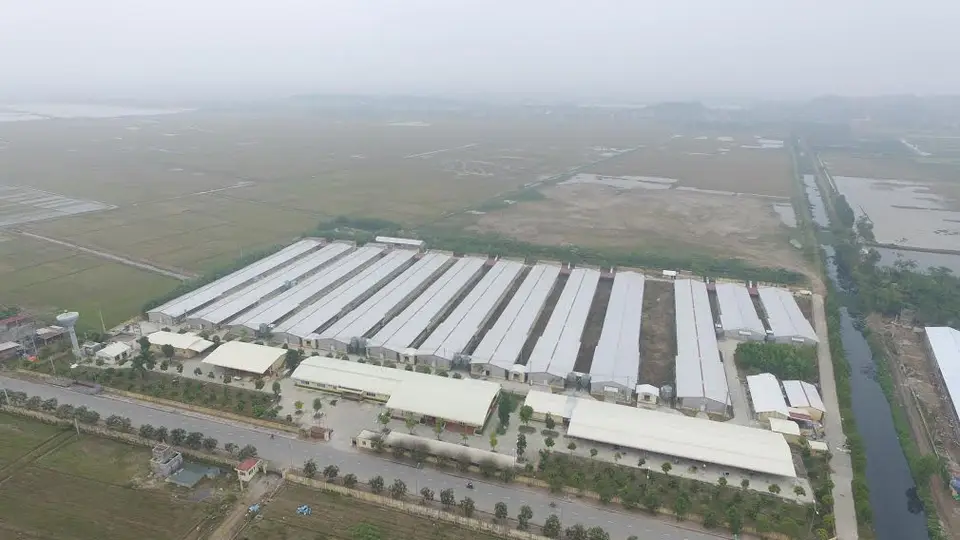 Trung tâm giống gia cầm Lạc Vệ