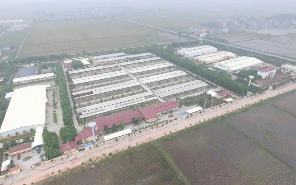 Trung tâm nghiên cứu gà 9 cựa Dabaco