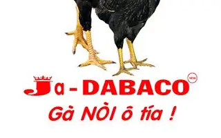 Gà nòi ô tía