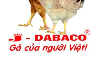 Gà của người Việt