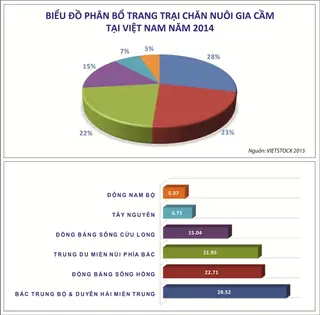 Vào TPP – Người chăn nuôi quyết định sự thành - bại