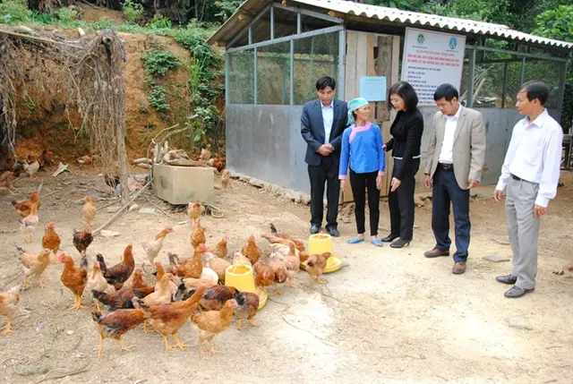 Màu xanh trở lại vùng rốn lũ