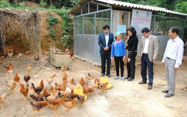 Màu xanh trở lại vùng rốn lũ