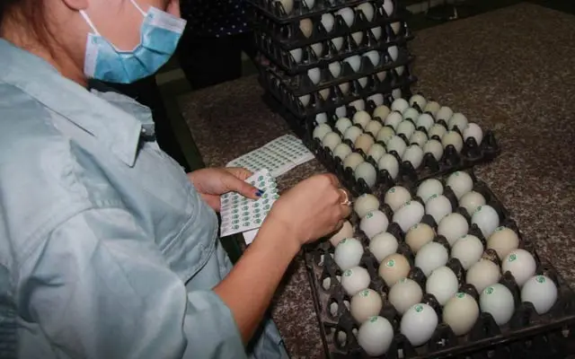 14 sản phẩm của Dabaco được chứng nhận an toàn theo chuỗi