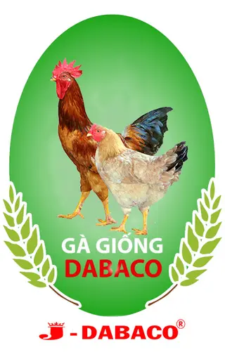J-Dabaco