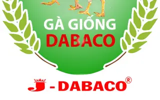 J-Dabaco