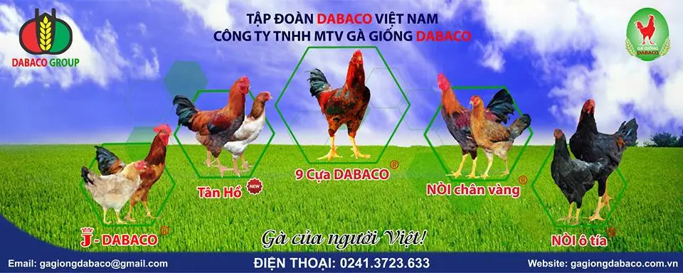 Gà giống Dabaco tổ chức Hội nghị gặp gỡ tri ân khách hàng năm 2016