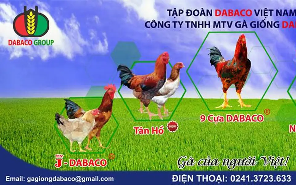 Gà giống Dabaco tổ chức Hội nghị gặp gỡ tri ân khách hàng năm 2016