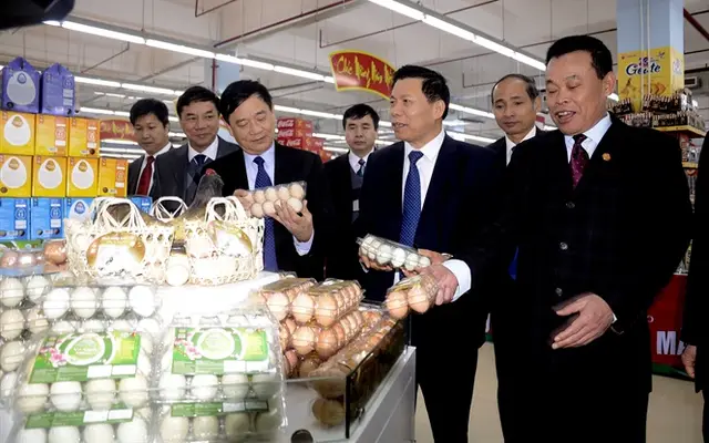 Khai trương Trung tâm thương mại DABACO Từ Sơn