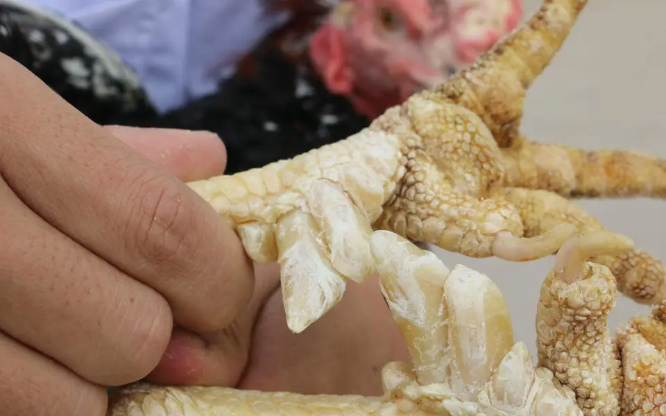 Năm Dậu bàn vị thế mới cho gà Việt!