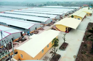 Công ty TNHH MTV Gà giống Dabaco: Không ngừng đầu tư nghiên cứu khoa học, vì lợi ích người nuôi