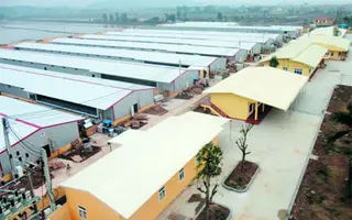 Công ty TNHH MTV Gà giống Dabaco: Không ngừng đầu tư nghiên cứu khoa học, vì lợi ích người nuôi