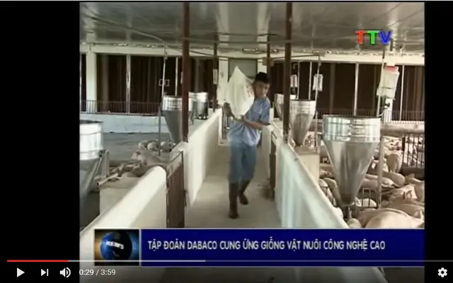 Tập đoàn DABACO cung ứng giống vật nuôi công nghệ cao vào Thanh Hóa