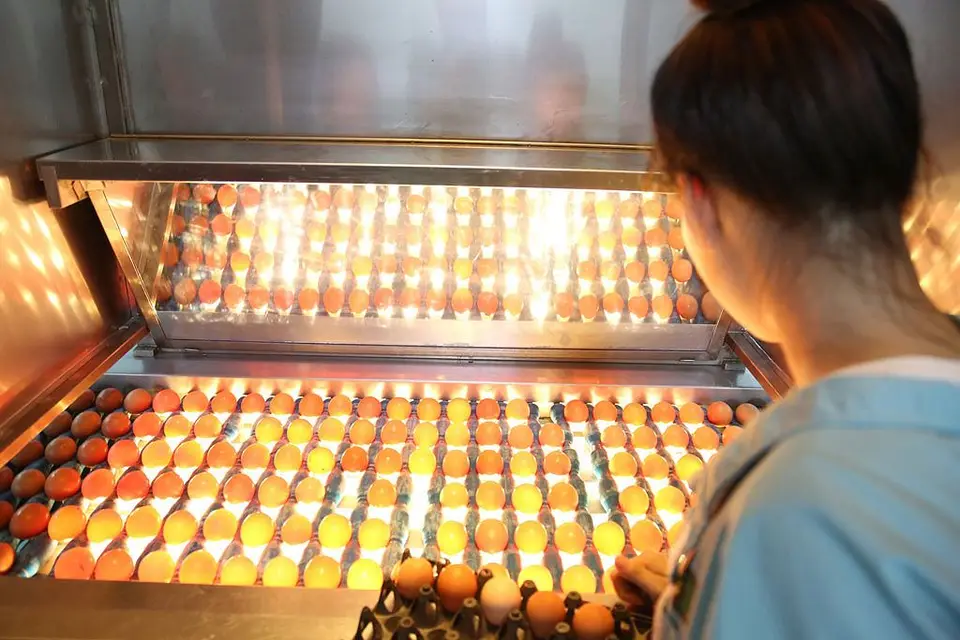 Trứng gà ăn liền Devi: Sản phẩm độc đáo của Dabaco