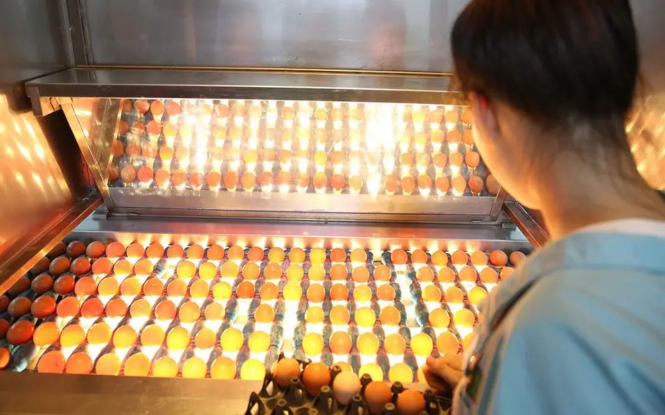 Trứng gà ăn liền Devi: Sản phẩm độc đáo của Dabaco