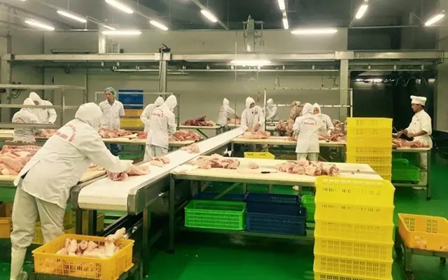 Thịt mát không phải thịt đông lạnh