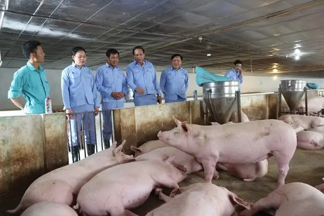 Điều gì giúp Dabaco vượt kế hoạch năm sau 9 tháng?