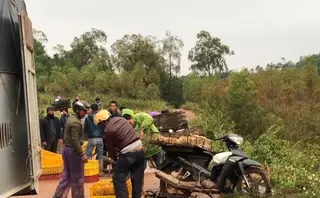 ​Gà lậu Trung Quốc tăng mạnh, Bộ Nông nghiệp ra công điện khẩn