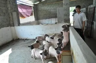 Từ câu chuyện nhiễm sán dây lợn tại trường mầm non Bắc Ninh đến quan niệm sai lầm về thực phẩm sạch