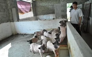 Từ câu chuyện nhiễm sán dây lợn tại trường mầm non Bắc Ninh đến quan niệm sai lầm về thực phẩm sạch