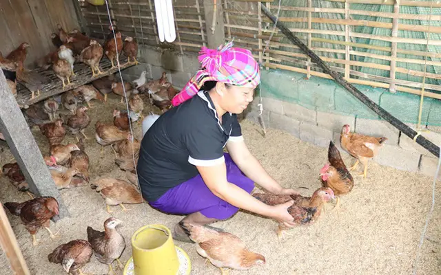 Khi hộ nghèo được trao “cần câu”
