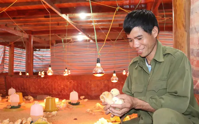 HTX Dịch vụ NLN - XD Quang Vinh: Tiên phong trong liên kết sản xuất