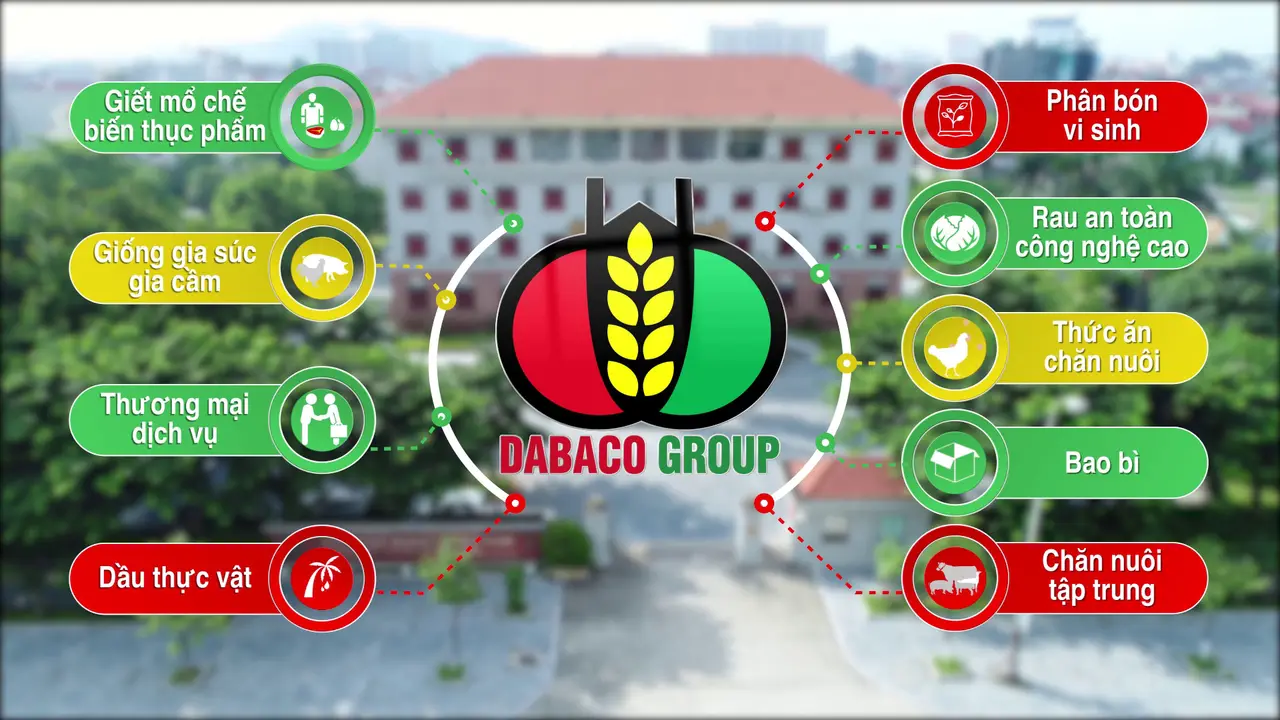 Tập đoàn Dabaco Việt Nam 12 năm liên tiếp nằm trong top 500 doanh nghiệp lớn nhất Việt Nam