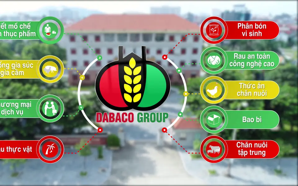 ​Tập đoàn Dabaco Việt Nam 12 năm liên tiếp nằm trong top 500 doanh nghiệp lớn nhất Việt Nam