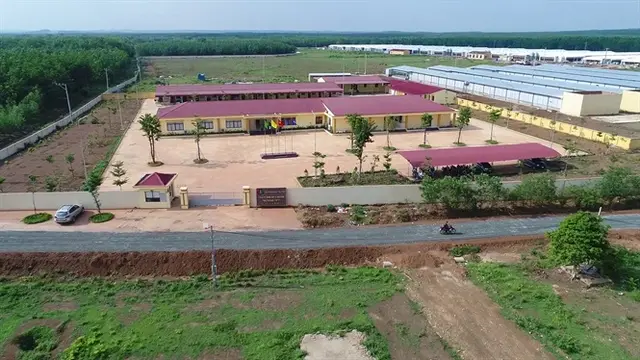 Dabaco Bình Phước đồng hành cùng tái cơ cấu chăn nuôi phía Nam