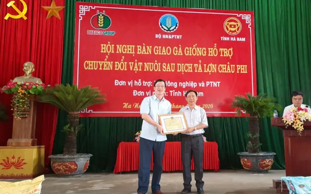 Hà Nam hỗ trợ chuyển đổi vật nuôi sau dịch tả lợn Châu Phi