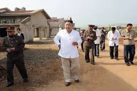 Triều Tiên thúc đẩy chăn nuôi gà